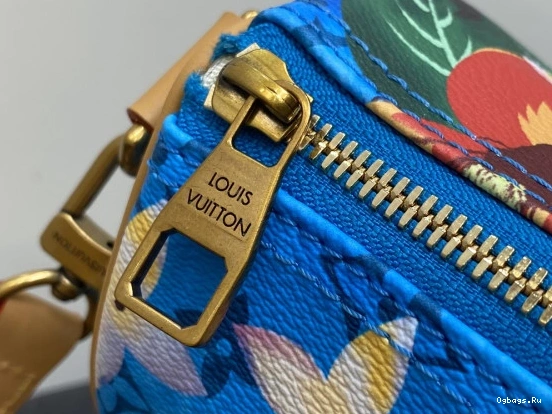 25 SPEEDY Louis Vuitton 0417